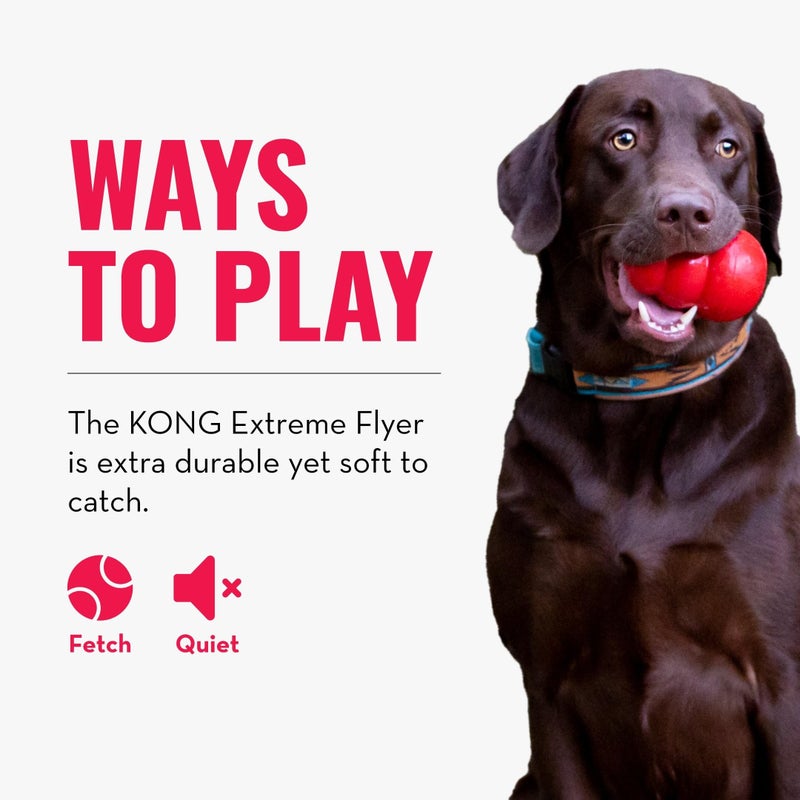 KONG Extreme Flyer - Dog Toy Supports Healthy Exercise - Soft Disc for Dogs - Toy for Fetch & Retrieve - Durable Flying Disc Dog Toy with Rebound - for Large Dogs - Image 4